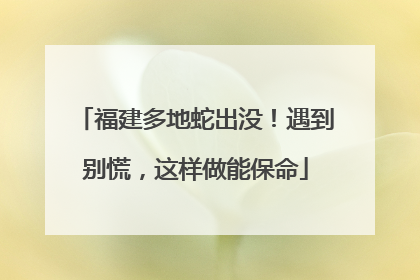 福建多地蛇出没！遇到别慌，这样做能保命
