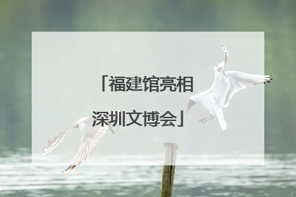 福建馆亮相深圳文博会