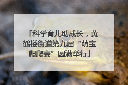科学育儿助成长，黄鹤楼街道第九届“萌宝爬爬赛”圆满举行