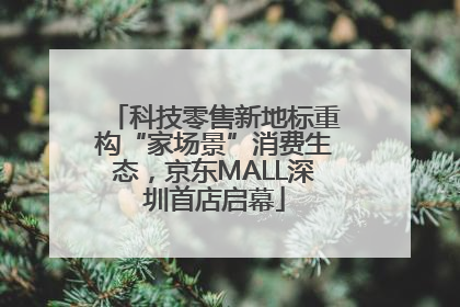 科技零售新地标重构“家场景”消费生态，京东MALL深圳首店启幕
