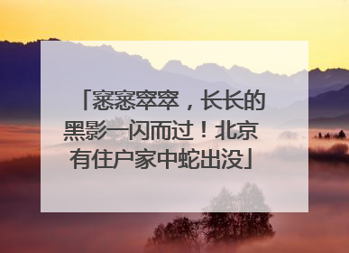 窸窸窣窣，长长的黑影一闪而过！北京有住户家中蛇出没