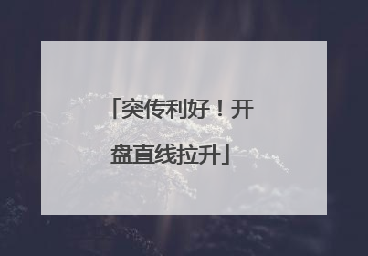 突传利好！开盘直线拉升