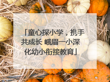 童心探小学，携手共成长 峨眉一小深化幼小衔接教育