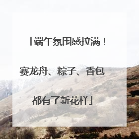 端午氛围感拉满！赛龙舟、粽子、香包都有了新花样
