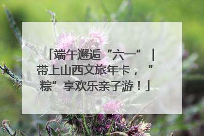 端午邂逅“六一”｜带上山西文旅年卡，“粽”享欢乐亲子游！