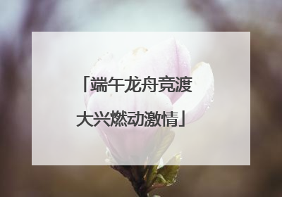 端午龙舟竞渡 大兴燃动激情