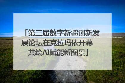 第三届数字新疆创新发展论坛在克拉玛依开幕 共绘AI赋能新图景
