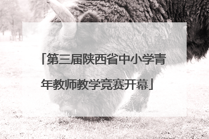第三届陕西省中小学青年教师教学竞赛开幕