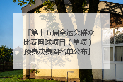 第十五届全运会群众比赛网球项目（单项）预赛决赛圈名单公布