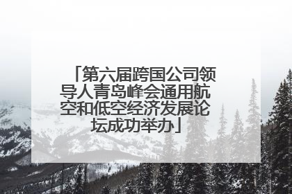第六届跨国公司领导人青岛峰会通用航空和低空经济发展论坛成功举办