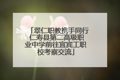 翠仁职教携手同行 仁寿县第二高级职业中学前往宜宾工职校考察交流