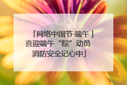 网络中国节·端午｜喜迎端午“粽”动员 消防安全记心中