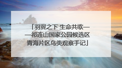 羽翼之下 生命共歌——祁连山国家公园候选区青海片区鸟类观察手记