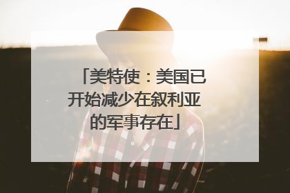 美特使：美国已开始减少在叙利亚的军事存在