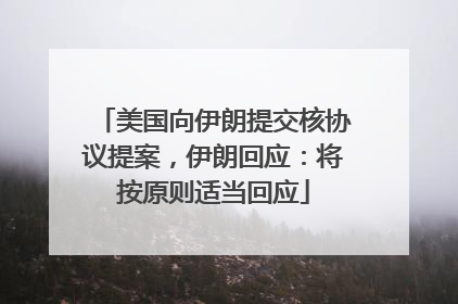 美国向伊朗提交核协议提案，伊朗回应：将按原则适当回应