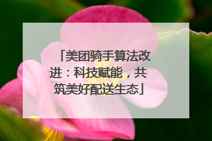 美团骑手算法改进：科技赋能，共筑美好配送生态