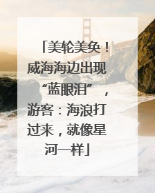 美轮美奂！威海海边出现“蓝眼泪”，游客：海浪打过来，就像星河一样
