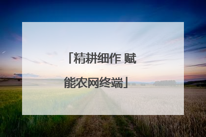 精耕细作 赋能农网终端