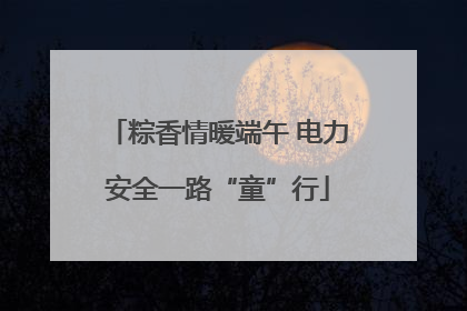 粽香情暖端午 电力安全一路“童”行