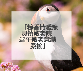 粽香情暖豫灵镇敬老院 端午敬老意满桑榆