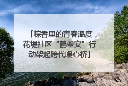 粽香里的青春温度，花堤社区“鹤耋安”行动架起跨代暖心桥