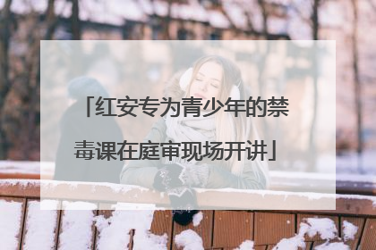 红安专为青少年的禁毒课在庭审现场开讲