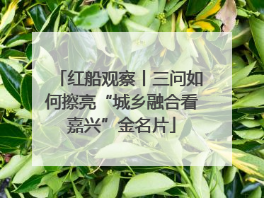 红船观察丨三问如何擦亮“城乡融合看嘉兴”金名片