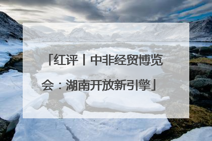 红评丨中非经贸博览会：湖南开放新引擎