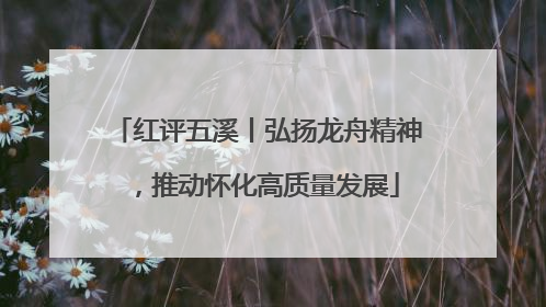红评五溪丨弘扬龙舟精神，推动怀化高质量发展