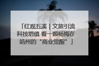 红观五溪｜文旅引流 科技增值 看一颗杨梅在靖州的“商业觉醒”