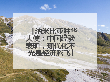 纳米比亚驻华大使：中国经验表明，现代化不光是经济腾飞