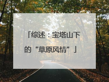 综述：宝塔山下的“草原风情”