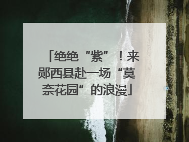 绝绝“紫”！来郧西县赴一场“莫奈花园”的浪漫