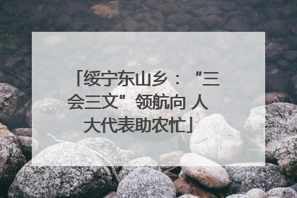 绥宁东山乡：“三会三文”领航向 人大代表助农忙
