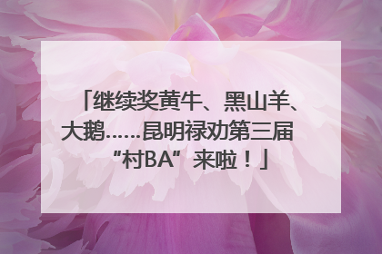 继续奖黄牛、黑山羊、大鹅……昆明禄劝第三届“村BA”来啦！