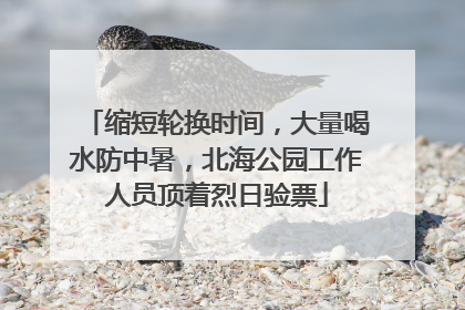 缩短轮换时间，大量喝水防中暑，北海公园工作人员顶着烈日验票