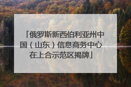 俄罗斯新西伯利亚州中国（山东）信息商务中心在上合示范区揭牌