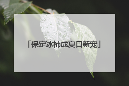 保定冰柿成夏日新宠