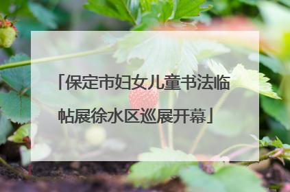 保定市妇女儿童书法临帖展徐水区巡展开幕