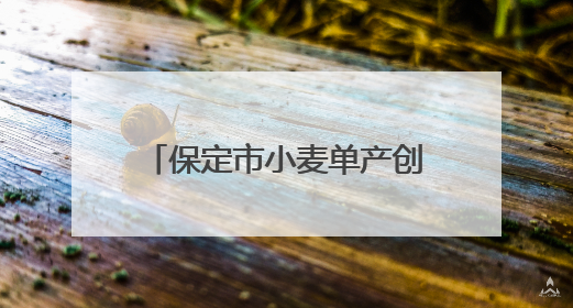保定市小麦单产创河北省历史新高