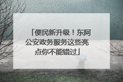 便民新升级！东阿公安政务服务这些亮点你不能错过