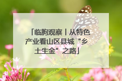 临朐观察丨从特色产业看山区县城“乡土生金”之路