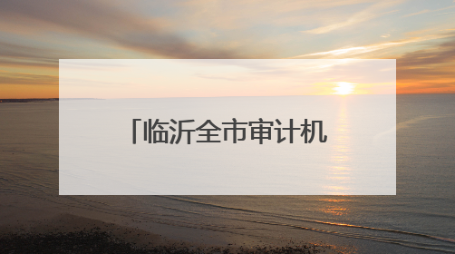临沂全市审计机关积极在统筹推进基层监督体系建设中发挥职能作用