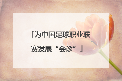 为中国足球职业联赛发展“会诊”