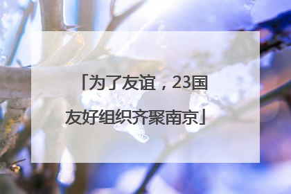 为了友谊，23国友好组织齐聚南京