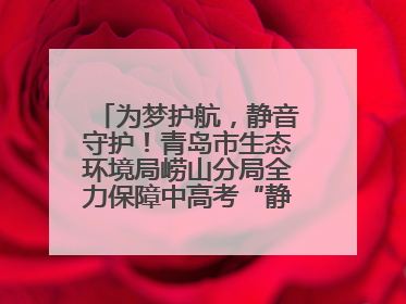 为梦护航，静音守护！青岛市生态环境局崂山分局全力保障中高考“静环境”