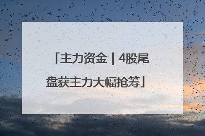 主力资金｜4股尾盘获主力大幅抢筹