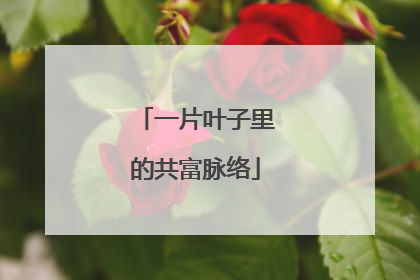 一片叶子里的共富脉络