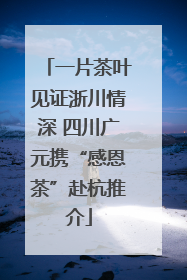 一片茶叶见证浙川情深 四川广元携“感恩茶”赴杭推介