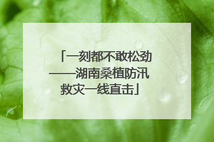一刻都不敢松劲——湖南桑植防汛救灾一线直击
